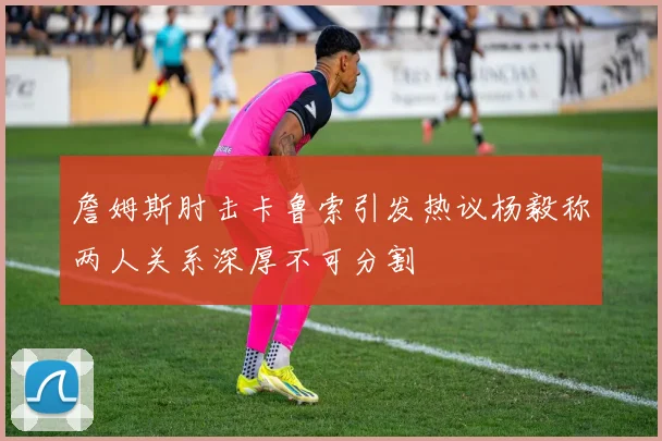 詹姆斯肘击卡鲁索引发热议杨毅称两人关系深厚不可分割